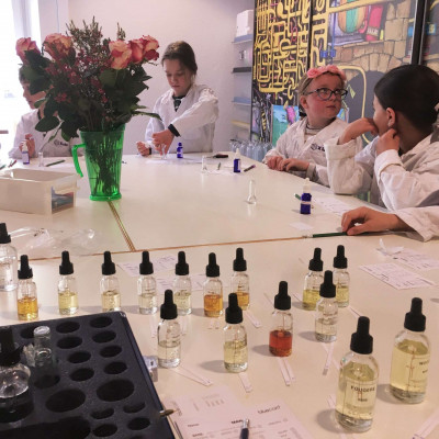 Chemie der Parfums