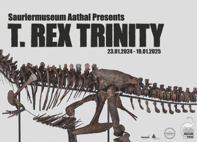 T. rex TRINITY - das Original im Sauriermuseum Aathal
