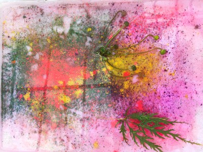 Kunst & Natur