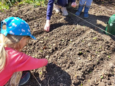 Offene Gartennachmittage